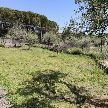 Villa Egle Belpasso, Villa Vacanza Con Piscina Екстер'єр фото