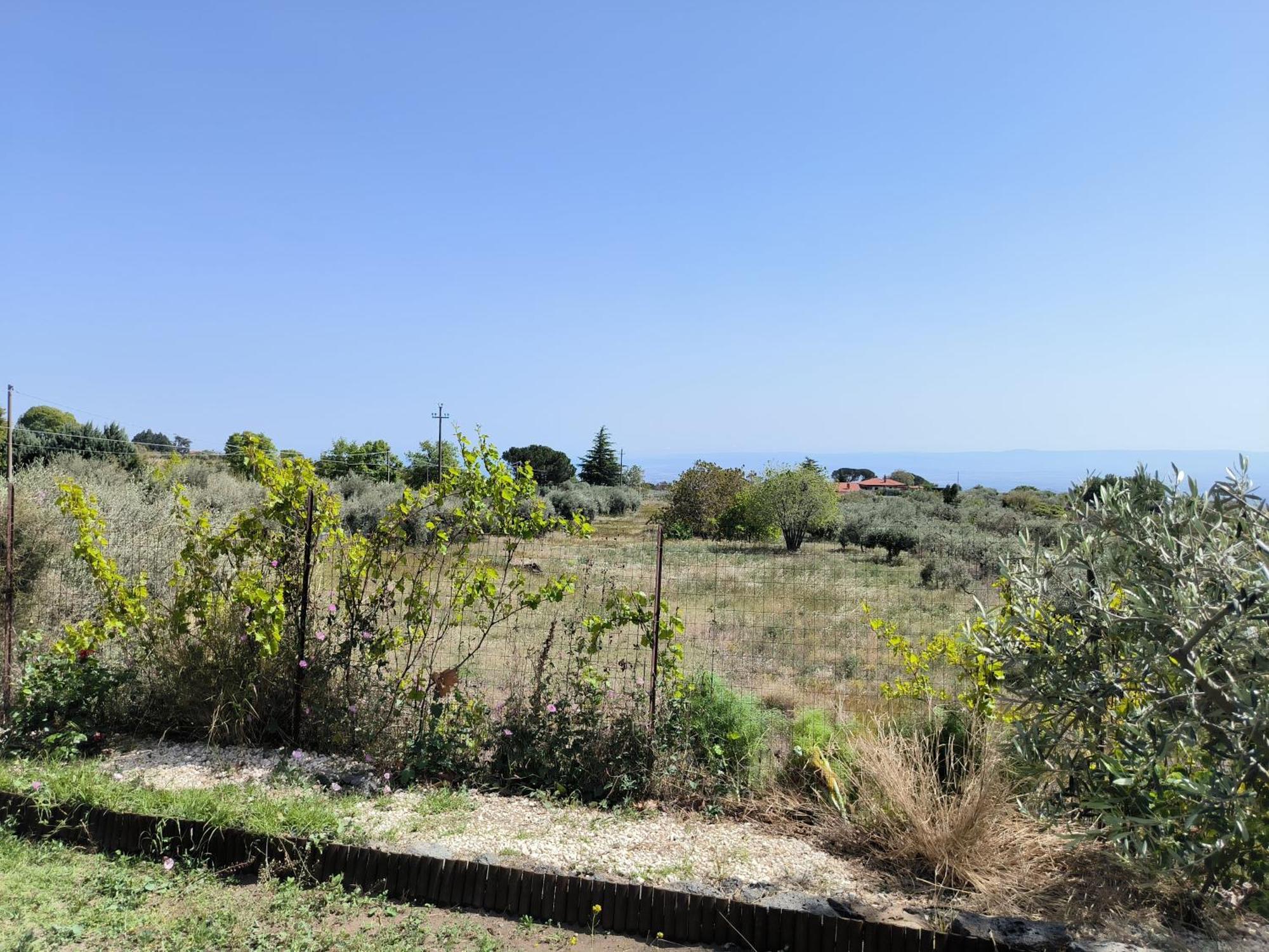 Villa Egle Belpasso, Villa Vacanza Con Piscina Екстер'єр фото
